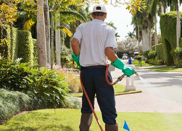 About Jericho NY Pest Control
